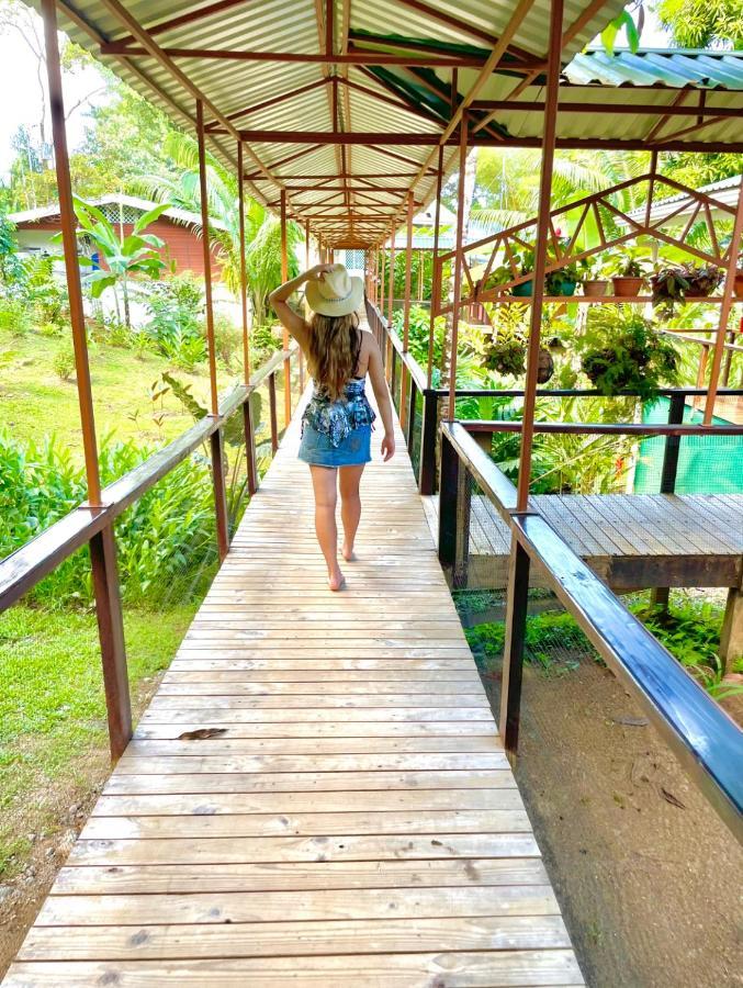 Pirate Cove Hotel Drake Bay Ngoại thất bức ảnh