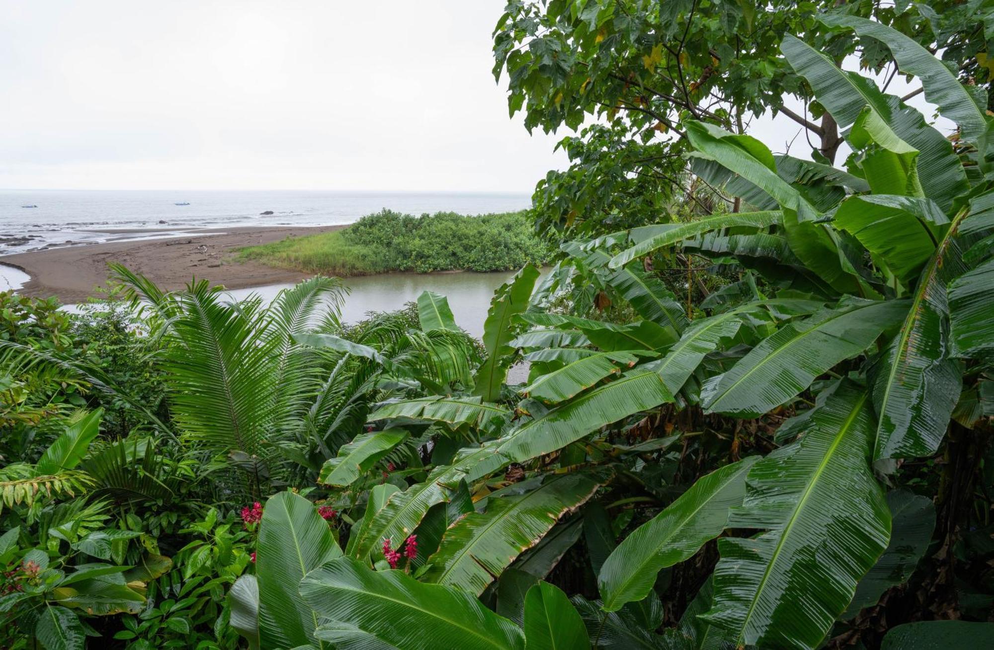 Pirate Cove Hotel Drake Bay Ngoại thất bức ảnh
