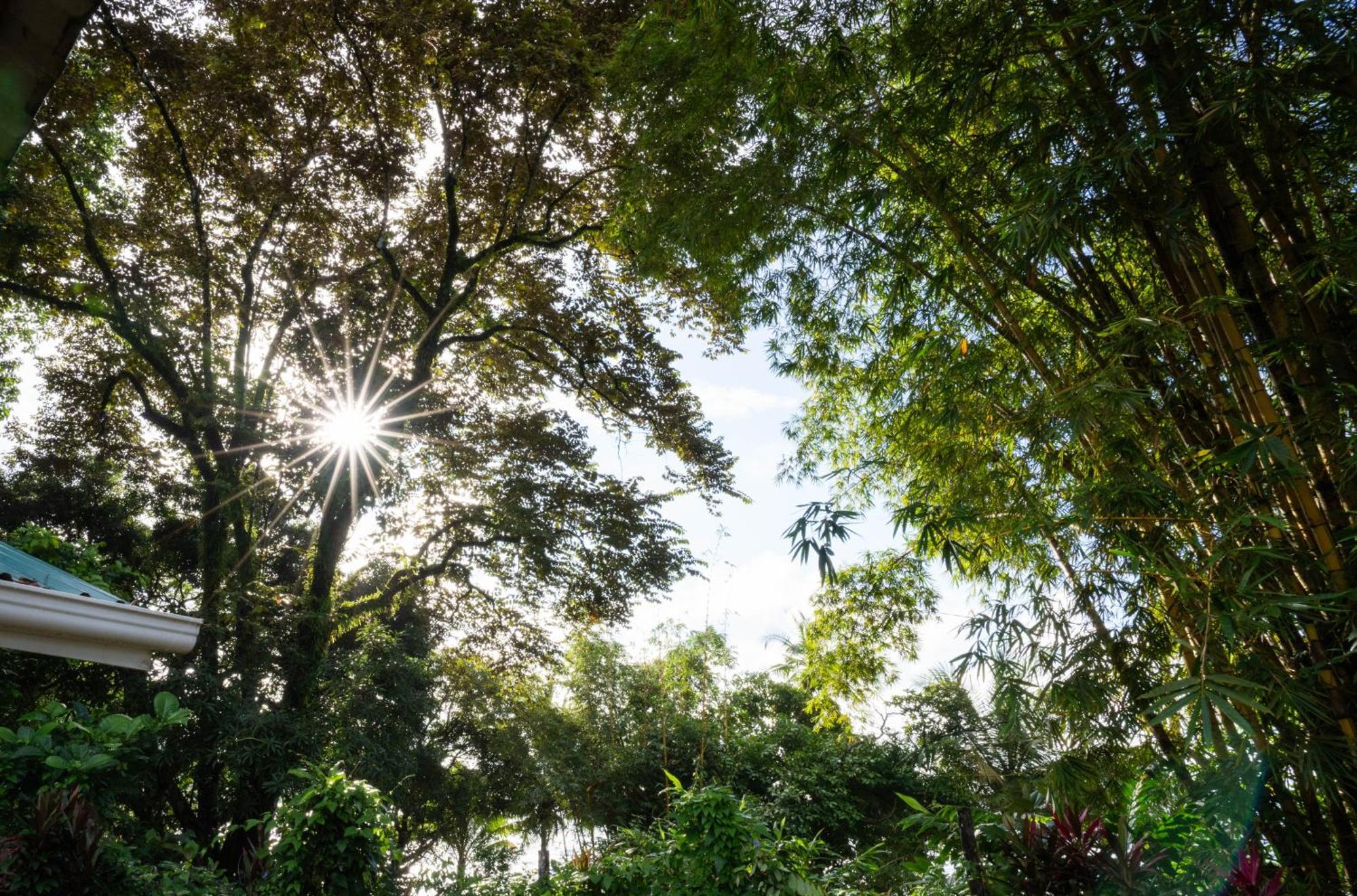 Pirate Cove Hotel Drake Bay Ngoại thất bức ảnh