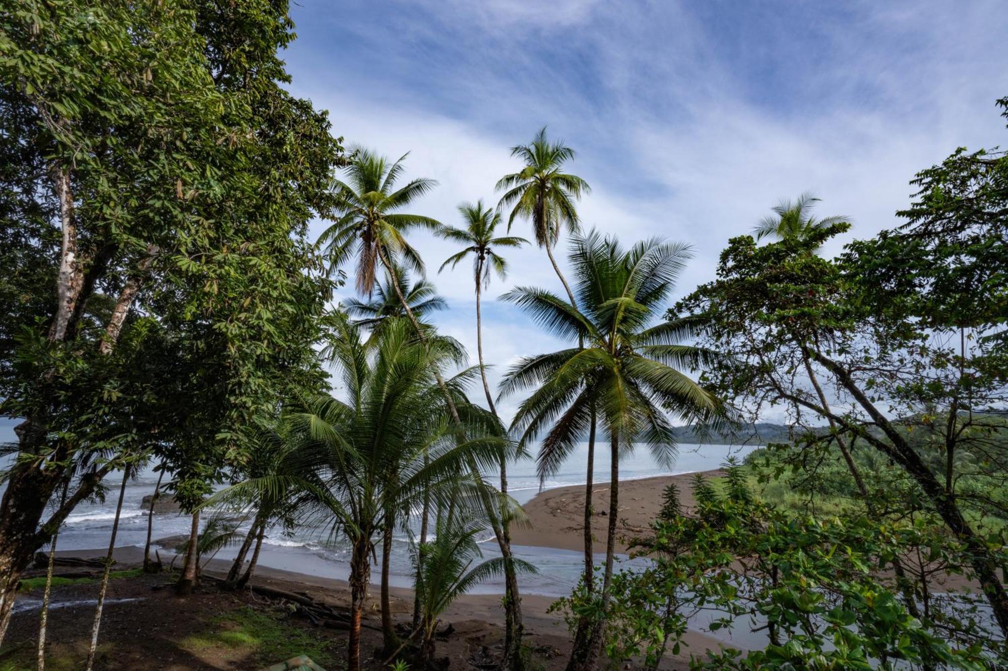Pirate Cove Hotel Drake Bay Ngoại thất bức ảnh