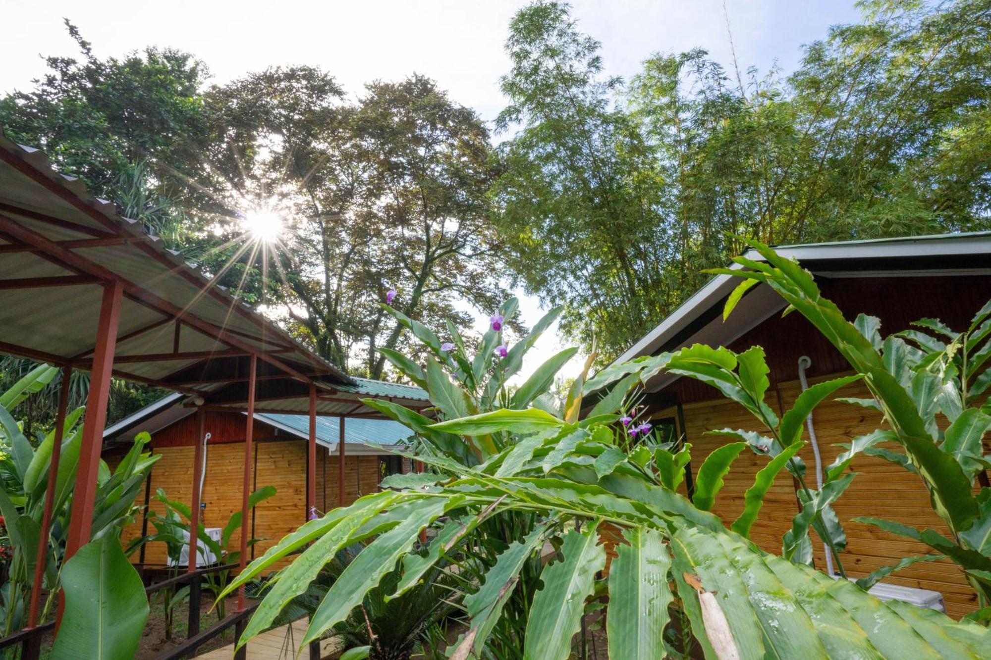 Pirate Cove Hotel Drake Bay Ngoại thất bức ảnh
