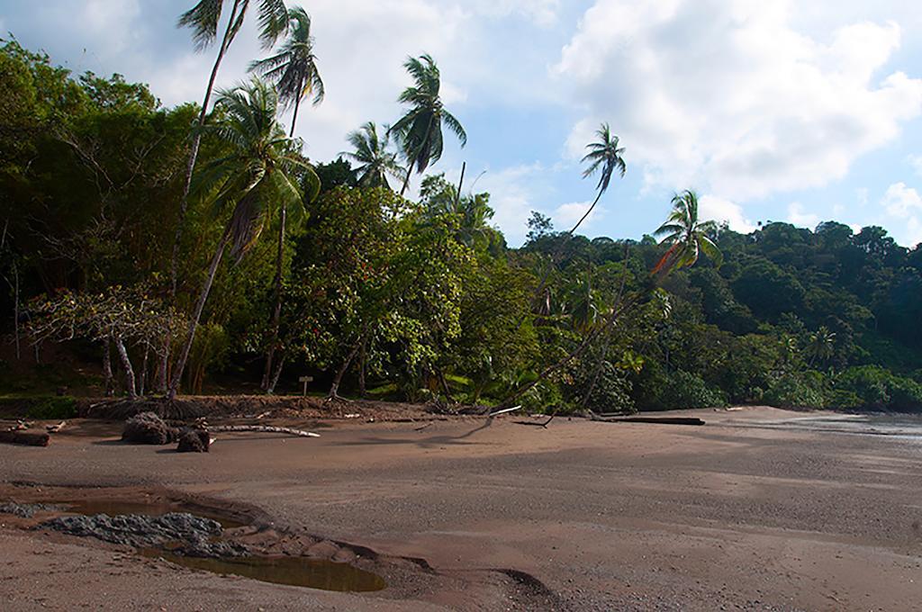 Pirate Cove Hotel Drake Bay Ngoại thất bức ảnh