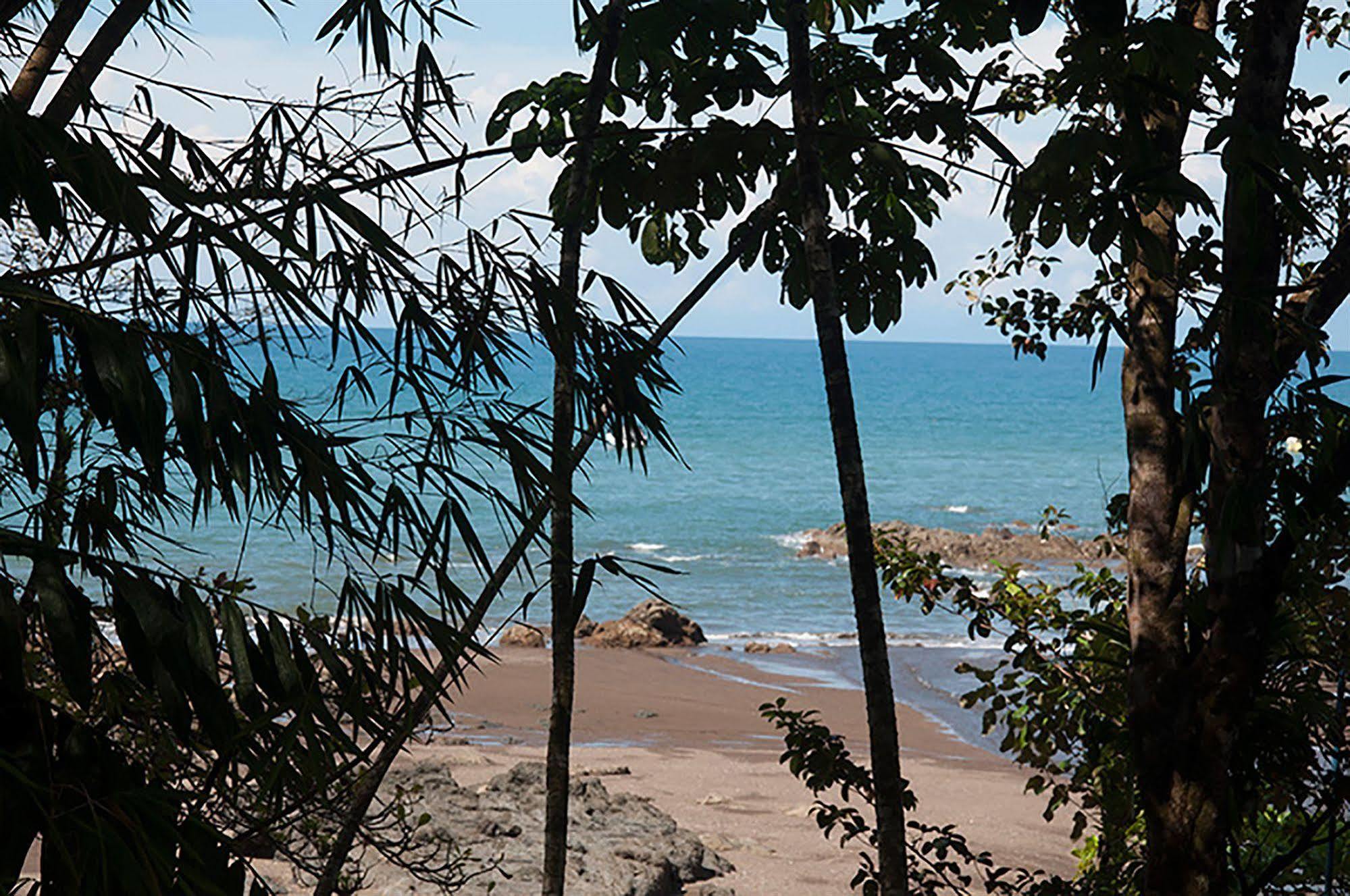 Pirate Cove Hotel Drake Bay Ngoại thất bức ảnh