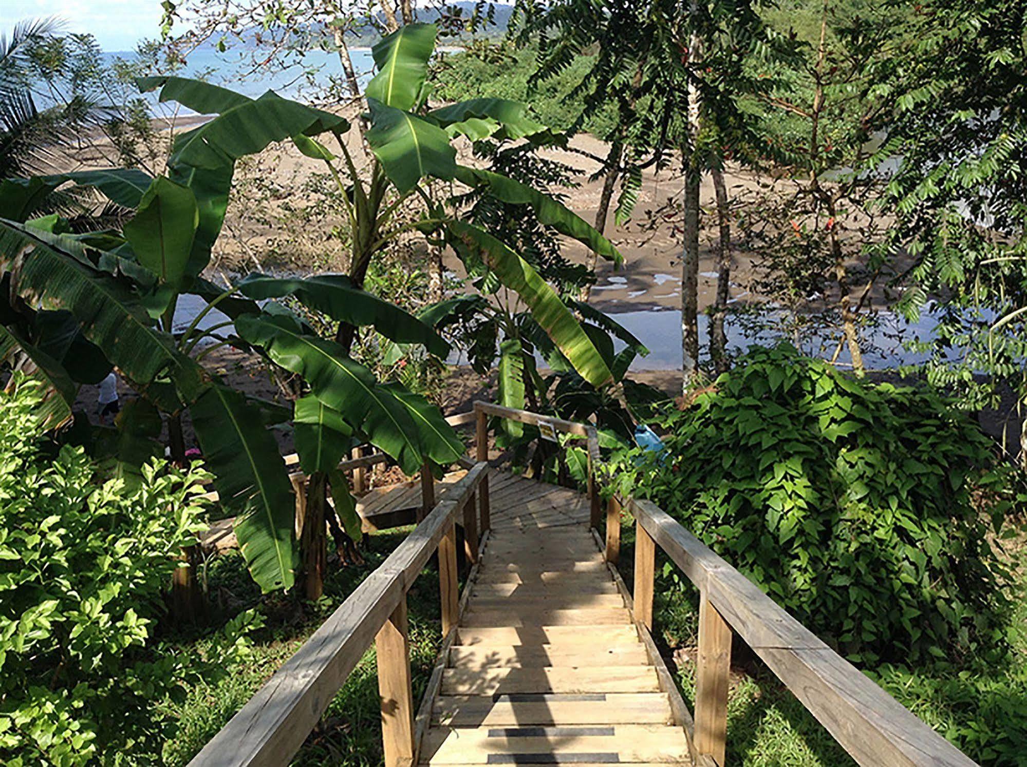 Pirate Cove Hotel Drake Bay Ngoại thất bức ảnh